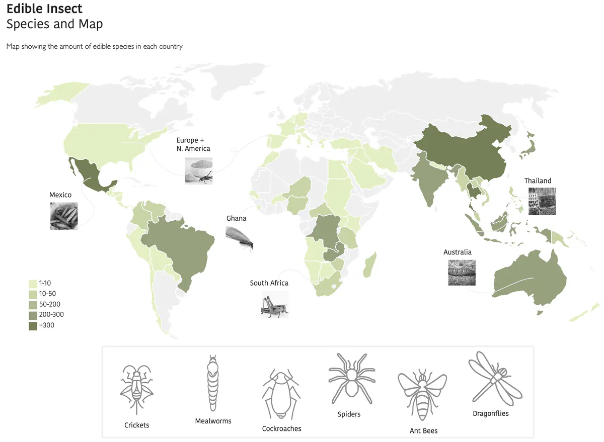 Proposed system for edible insects - Sita Patel Edible Systems 4.png